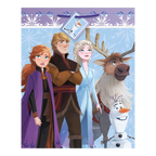 Blue Frozen themed gift bag with cartoon characters from Parte Haus party supply store in Bethesda MD