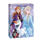 Purple Frozen gift bag with Anna Elsa Olaf and snowflakes for birthday from Parte Haus party supply store in Bethesda Maryland