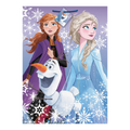 Purple Frozen gift bag with Anna Elsa and Olaf with snowflakes for birthday from Parte Haus party supply store in Bethesda Maryland