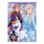 Purple Frozen gift bag with Anna Elsa and Olaf with snowflakes for birthday from Parte Haus party supply store in Bethesda Maryland
