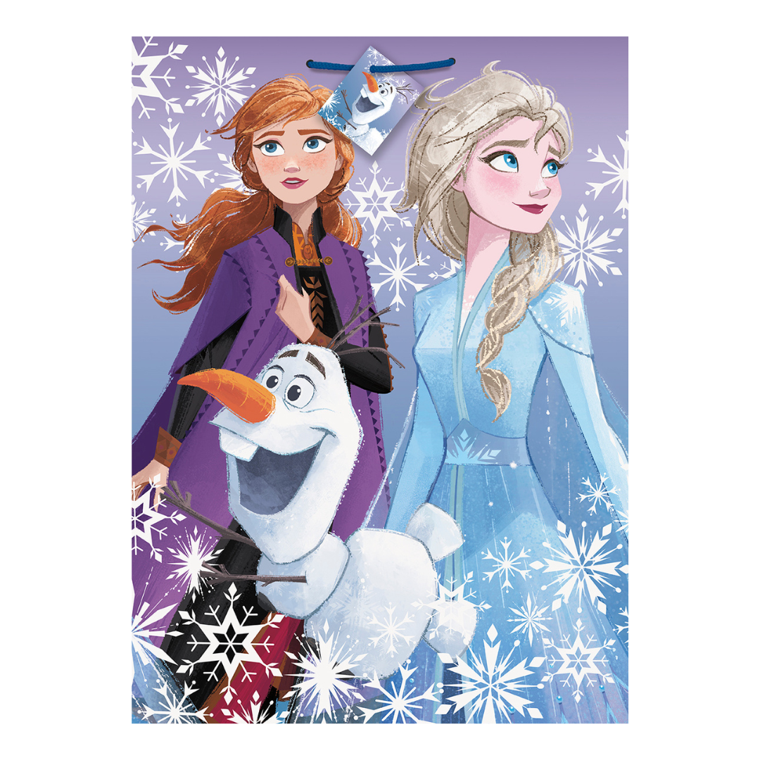 Purple Frozen gift bag with Anna Elsa and Olaf with snowflakes for birthday from Parte Haus party supply store in Bethesda Maryland