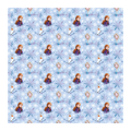Blue Frozen wrapping paper with Anna Elsa Olaf and snowflakes birthday theme from Parte Haus party supply store in Bethesda Maryland.