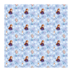 Blue Frozen wrapping paper with Anna Elsa Olaf and snowflakes birthday theme from Parte Haus party supply store in Bethesda Maryland.