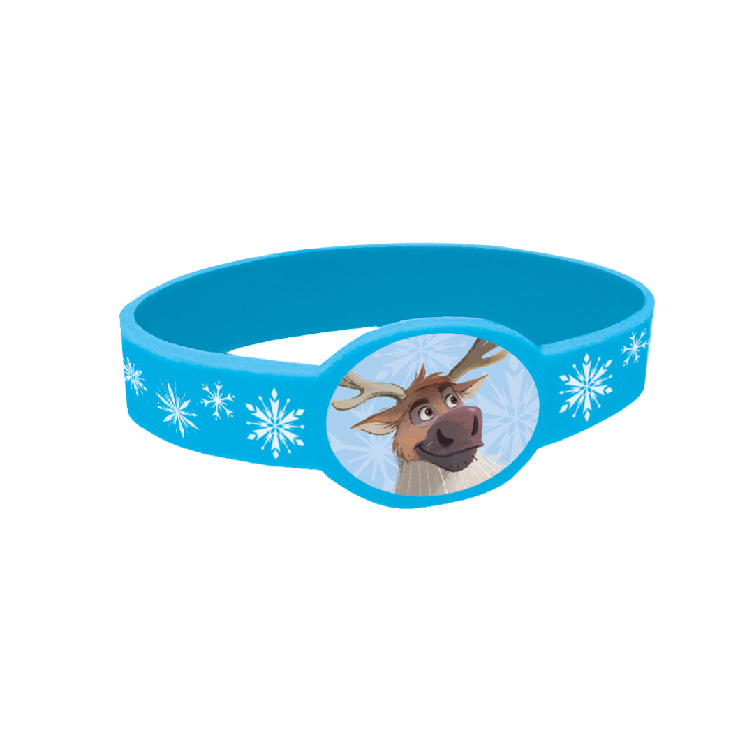 Blue Frozen Sven silicone bracelet with snowflake designs for winter birthday from Parte Haus party supply store in Bethesda MD