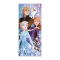 Blue Frozen themed table cover with snowy characters for kids birthday from Parte Haus party supply store in Bethesda Maryland