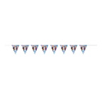 Blue Frozen pennant banner with character illustrations for birthday decoration from Parte Haus party supply store in Bethesda MD