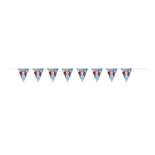 Blue Frozen pennant banner with character illustrations for birthday decoration from Parte Haus party supply store in Bethesda MD