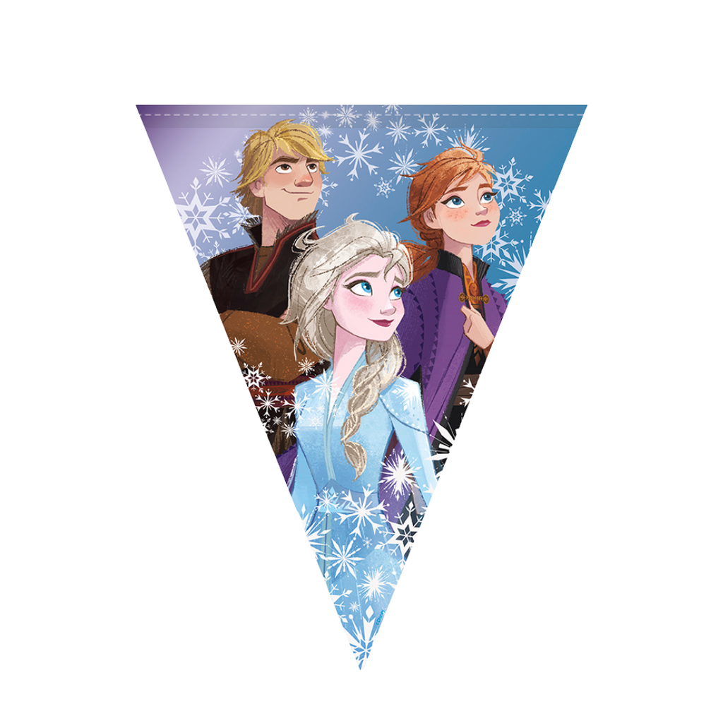 Blue Frozen banner with Elsa Anna Kristoff and white snowflakes birthday theme from Parte Haus party supply store in Bethesda Maryland