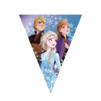 Blue Frozen banner with Elsa Anna Kristoff and white snowflakes birthday theme from Parte Haus party supply store in Bethesda Maryland