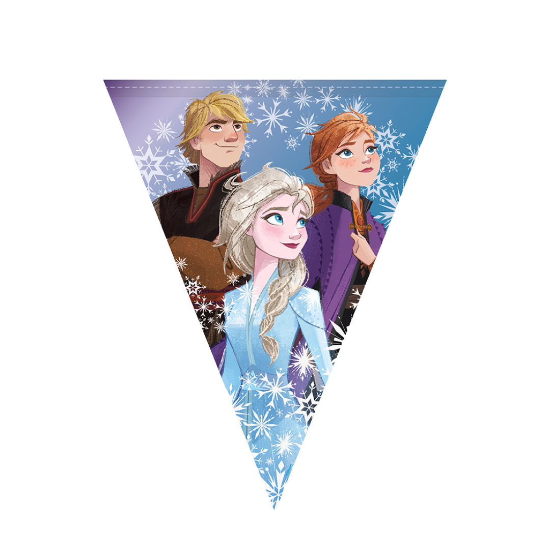 Blue Frozen banner with Elsa Anna Kristoff and white snowflakes birthday theme from Parte Haus party supply store in Bethesda Maryland