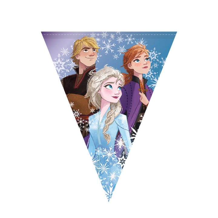 Frozen Decoration Kit