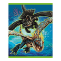 Multicolor How to Train Your Dragon loot bag with dragon characters for birthday theme from Parte Haus party supply store in Bethesda MD