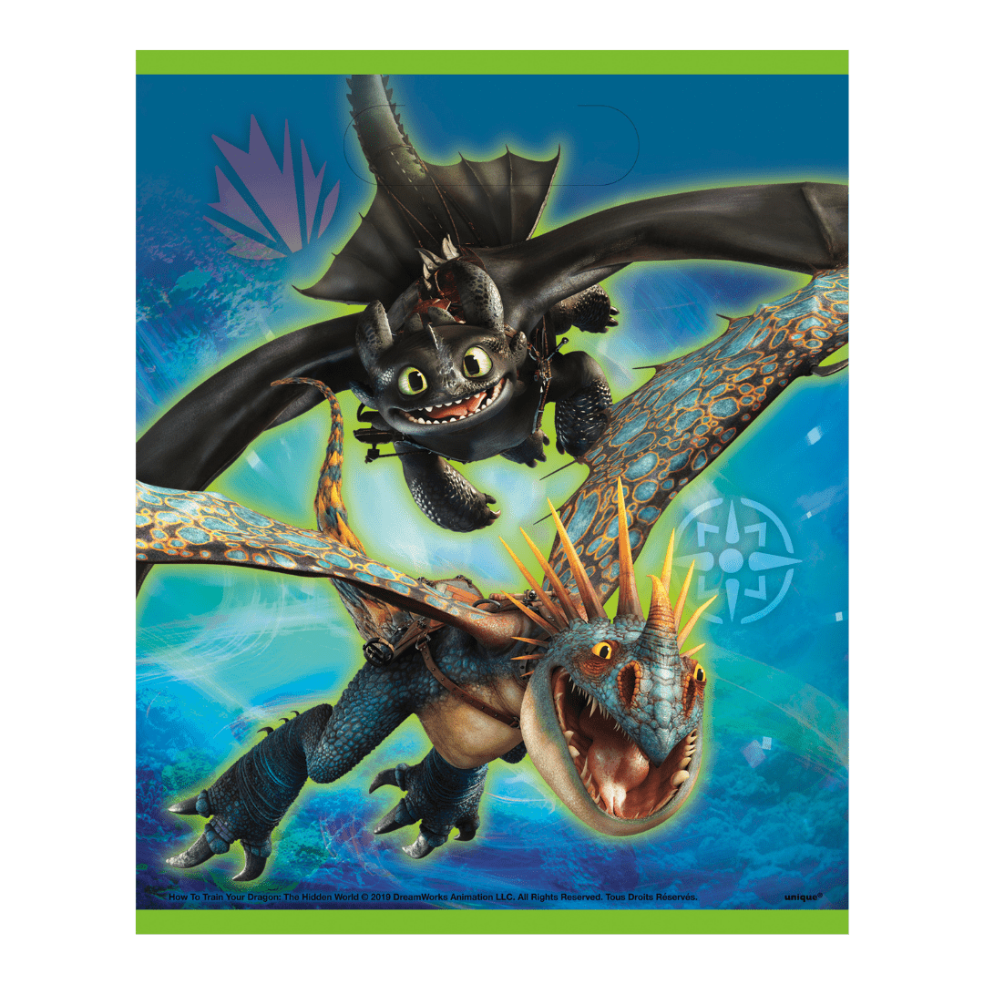 Multicolor How to Train Your Dragon loot bag with dragon characters for birthday theme from Parte Haus party supply store in Bethesda MD