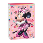 Pink Minnie Mouse gift bag with hearts and music notes for birthday from Parte Haus party supply store in Bethesda MD.