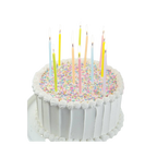 Pastel birthday candles on white frosted cake with rainbow sprinkles birthday theme from Parte Haus party supply store in Bethesda Maryland