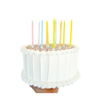 pastel birthday candles set on a white frosted cake celebration decor from Parte Haus party supply store in Bethesda MD