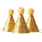 Gold glitter cone hats with fluffy tops birthday celebration from Parte Haus party supply store in Bethesda MD.