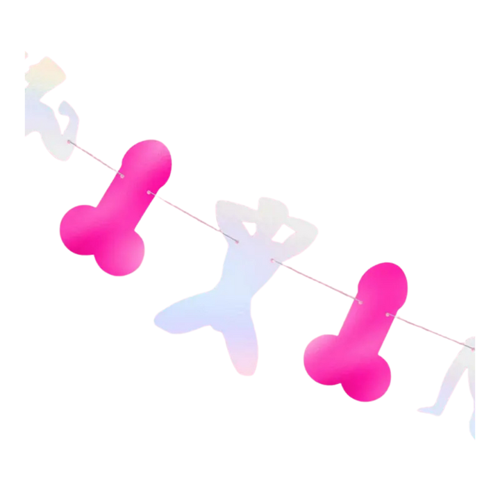 Pink and Iridescent Stripper Penis Banner