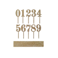 Gold acrylic number cake toppers glitter finish for birthday from Parte Haus party supply store in Bethesda MD