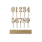 Gold acrylic number cake toppers glitter finish for birthday from Parte Haus party supply store in Bethesda MD