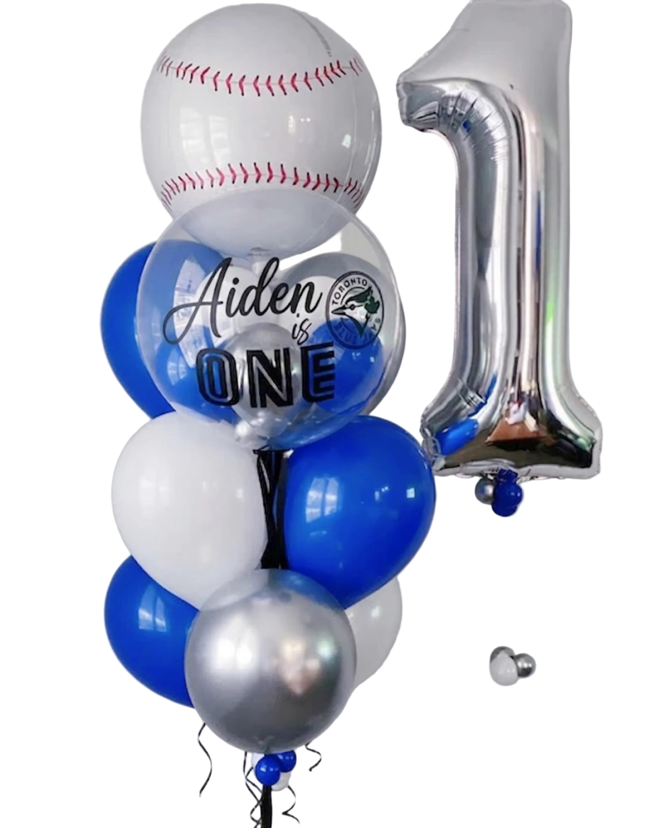 Blue Bird Mini Birthday Bundle