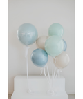 Dusty Parté Personalized Balloons