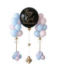 Boy Or Girl? Gender Reveal Balloon Bundle