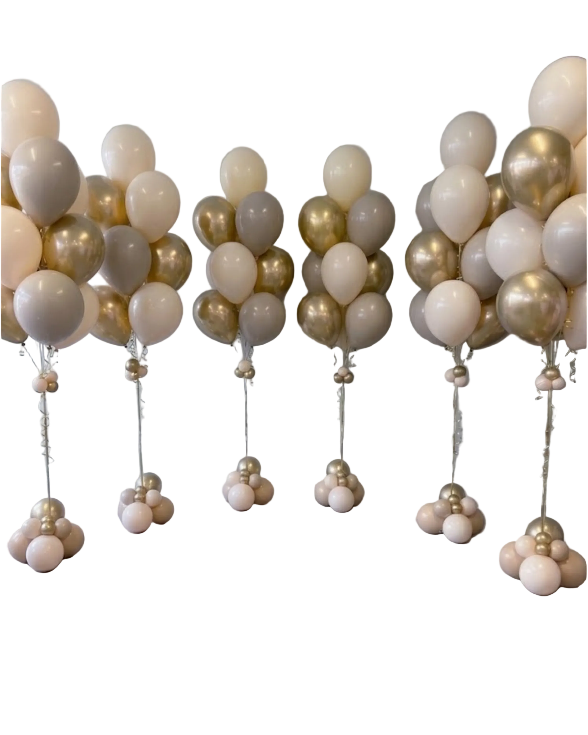 Champagne Nude Balloon Set (6)
