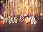 Blush Foil Curtain Backdrop