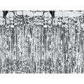 Silver Foil Fringe Curtain Backdrop