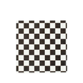 Black and white checkered napkins with classic pattern for celebrations from Parte Haus party supply store in Bethesda MD