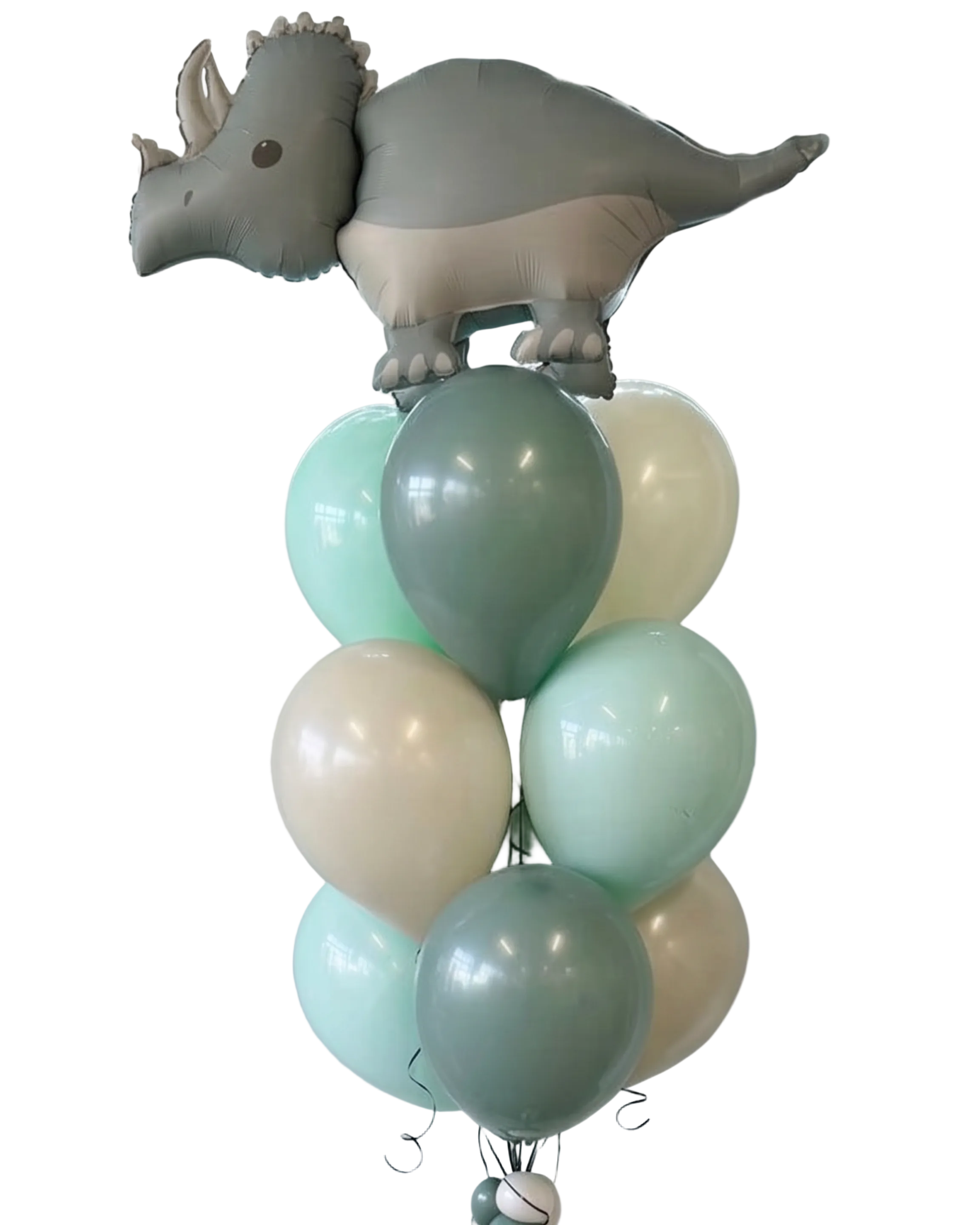 Dino Roar Balloon Bundle