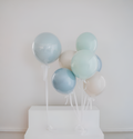 Dusty Parté Personalized Balloons