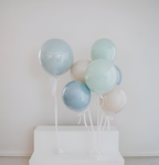 Dusty Parté Personalized Balloons