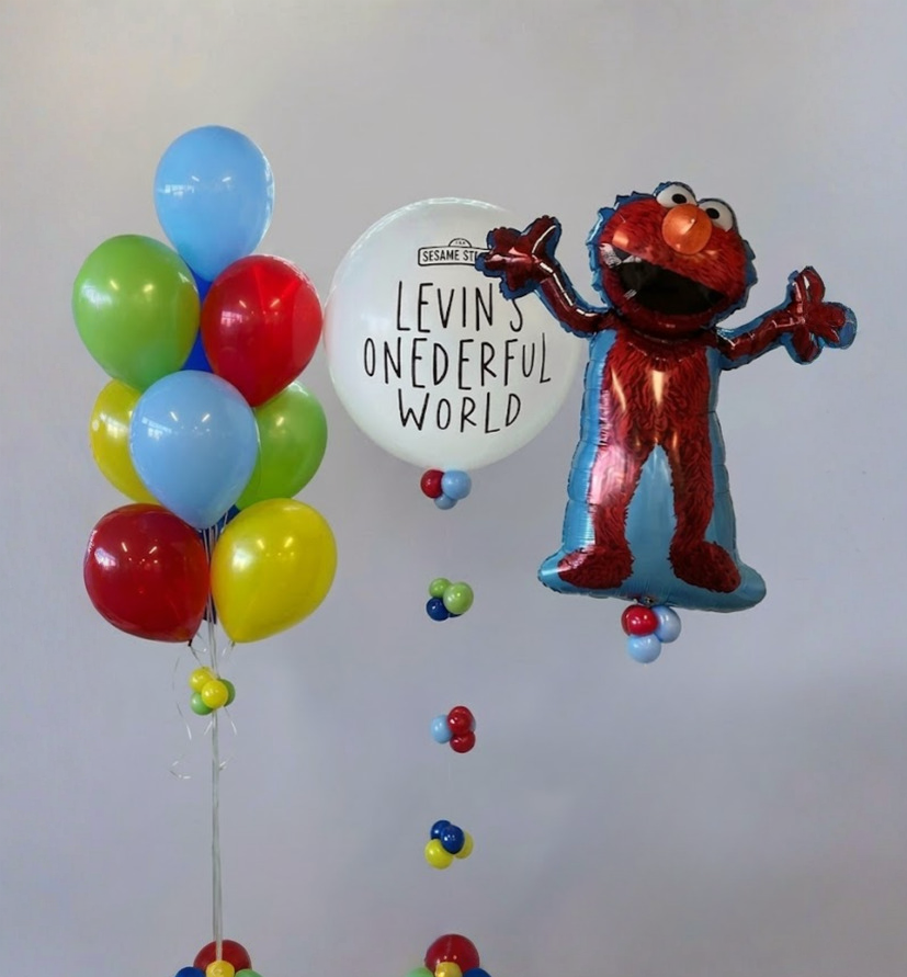 Elmo's World Balloon Bundle