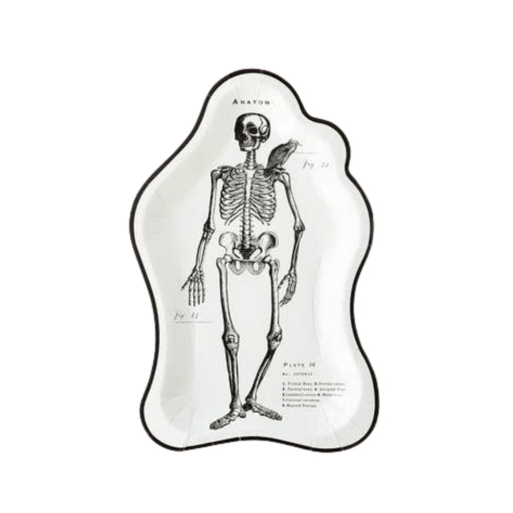 White skeleton plate with black anatomical skeleton print for Halloween from Parte Haus party supply store in Bethesda MD