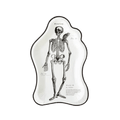 White skeleton plate with black anatomical skeleton print for Halloween from Parte Haus party supply store in Bethesda MD