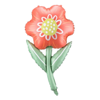 Red Flower Foil Balloon, 29in