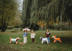 Giant Brown Standing Dachshund Foil Balloon, 35in