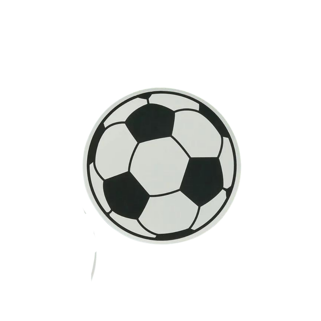 black and white football paper plate soccer theme birthday from Parte Haus party supply store in Bethesda MD