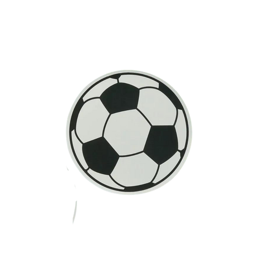black and white football paper plate soccer theme birthday from Parte Haus party supply store in Bethesda MD