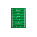 Green football pitch paper napkin with field lines sports theme from Parte Haus party supply store in Bethesda Maryland