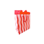 Red and white striped gift bag with tissue paper for birthday from Parte Haus party supply store in Bethesda MD.