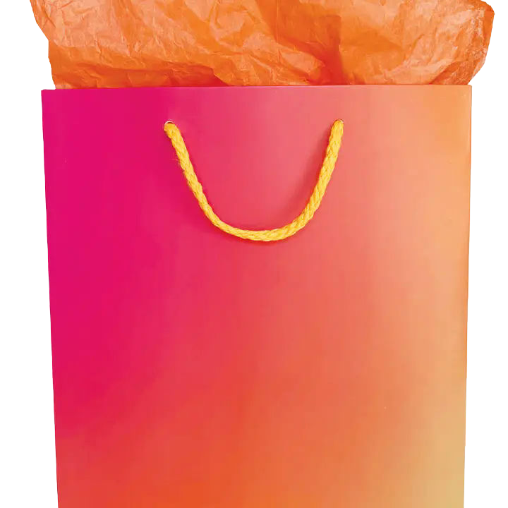 Pink and orange gift bag with yellow handles and orange tissue paper birthday from Parte Haus party supply store in Bethesda MD