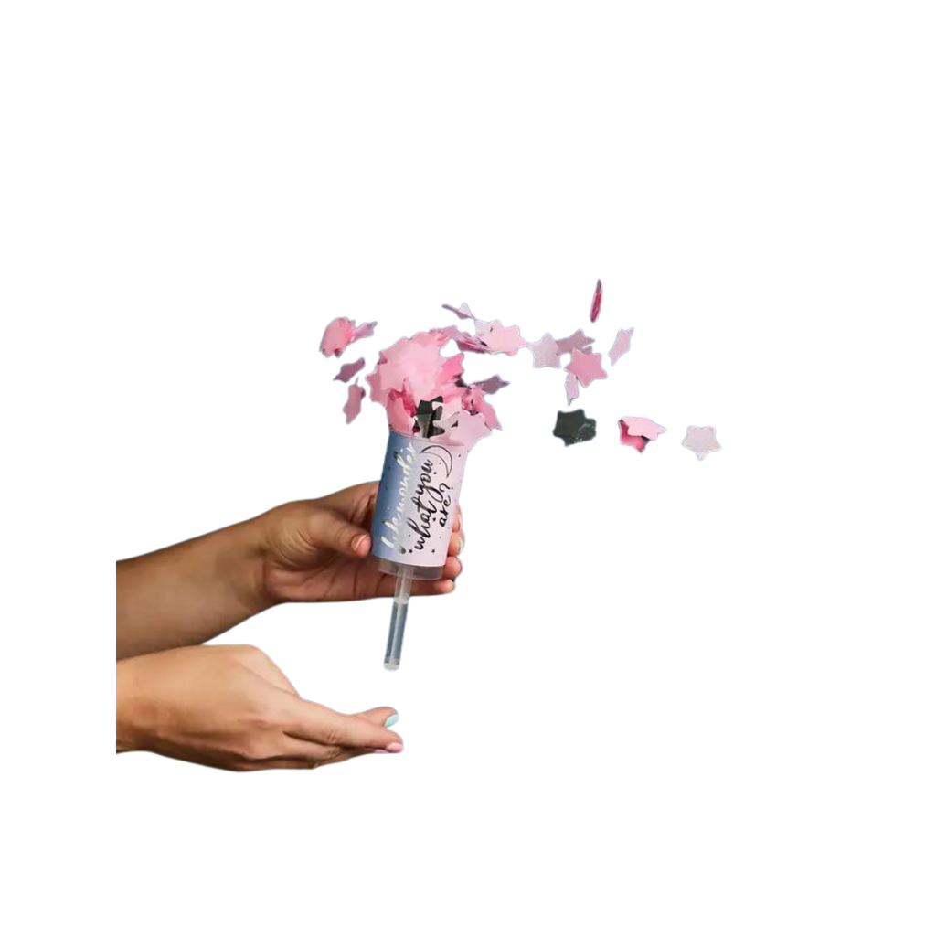 Pink confetti push pop with scattered stars for gender reveal from Parte Haus party supply store in Bethesda MD