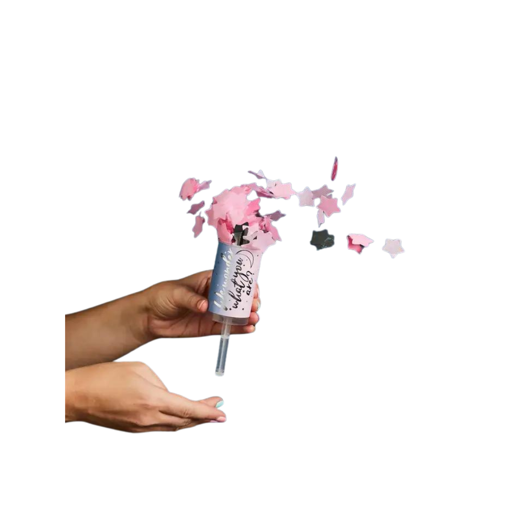 Pink confetti push pop with scattered stars for gender reveal from Parte Haus party supply store in Bethesda MD
