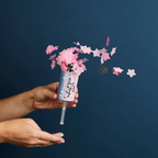 Pink confetti push pop spraying stars for gender reveal from Parte Haus party supply store in Bethesda Maryland