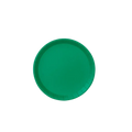 Green classic large paper plate with a smooth round border birthday celebration from Parte Haus party supply store in Bethesda MD