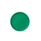 Green classic large paper plate with a smooth round border birthday celebration from Parte Haus party supply store in Bethesda MD