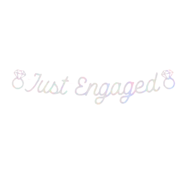 Iridescent "Just Engaged'' Foil Banner